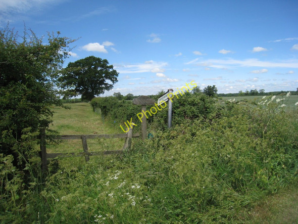 Photo 6"x4" The beginning of the footpath to Coddington Barnby in the Willows c2011