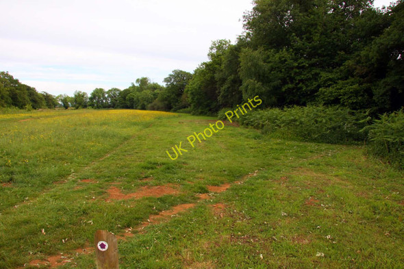 Photo 6"x4" Shotover Plain New Headington c2011