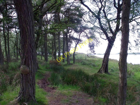 Photo 6"x4" Hillend Reservoir, in Whitehill Wood Forrestfield c2011