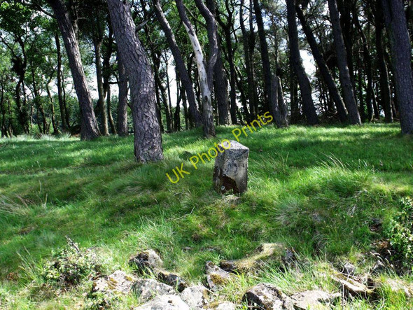Photo 6"x4" Hillend Reservoir, marker stone No. 44 Forrestfield c2011