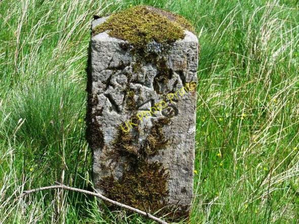 Photo 6"x4" Hillend Reservoir, marker stone No. 46 Forrestfield c2011