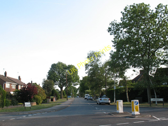 Photo 6"x4" Jones Road Cuffley c2011