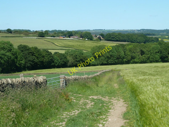 Photo 6"x4" Footpath to Salter Wood and Sud Brook Bole Hill\/SK3374 c2011