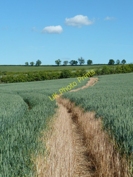 Photo 6"x4" Footpath near Dunston Hole Farm Barlow\/SK3474 c2011