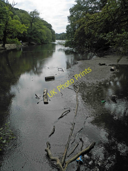 Photo 6"x4" The head of Waterloo Lake Roundhay Park, Leeds Lady Wood\/SE3337 c2011