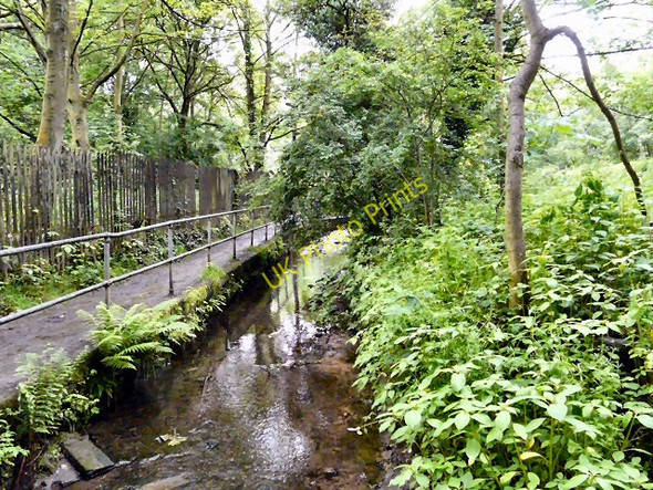 Photo 6"x4" Godley Brook Hyde\/SJ9494 c2011