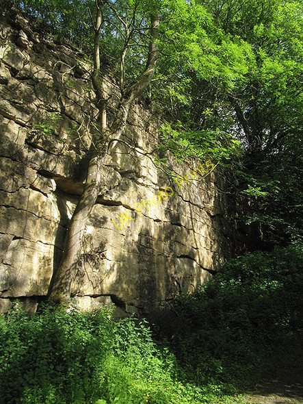 Photo 6"x4" Disused Quarry Fadmoor c2011