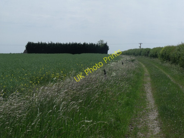 Photo 6"x4" Field and Hedgerow near Thorpe Le Fallows, Lincs Sturton by Stow c2011