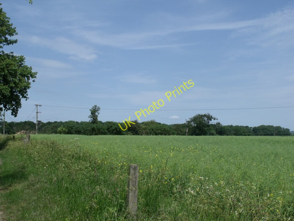 Photo 6"x4" Field near The Grange, near Thorpe in the Fallows Coates\/SK9183 c2011