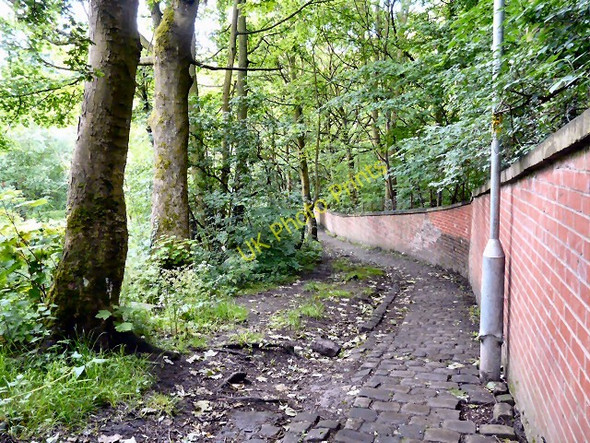 Photo 6"x4" Steep path by Godley Wood Hyde\/SJ9494 c2011
