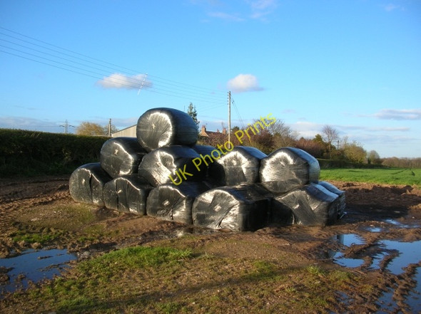Photo 6"x4" Bales at Mount Pleasant Farm Bossall c2008