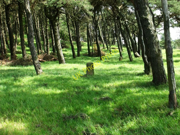 Photo 6"x4" Hillend Reservoir, marker stone No. 59 Hillend\/NS8267 c2011