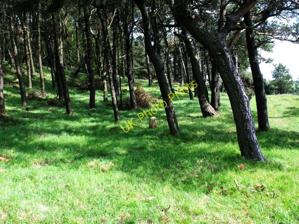 Photo 6"x4" Hillend Reservoir, marker stone No. 60 Hillend\/NS8267 c2011