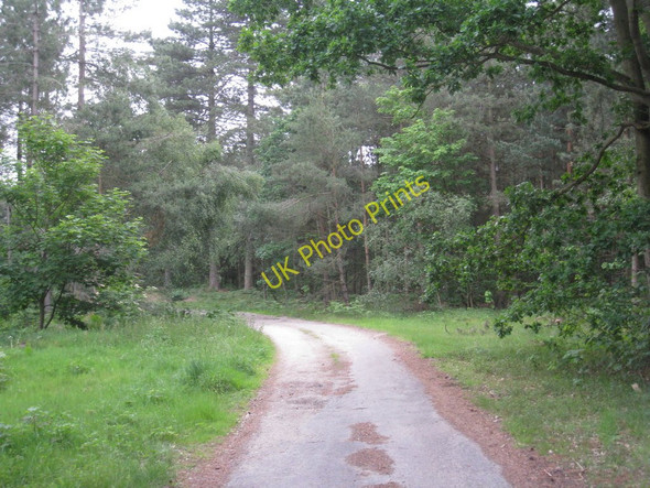 Photo 6"x4" Track to Laughton Lodge Laughton\/SK8497 c2011