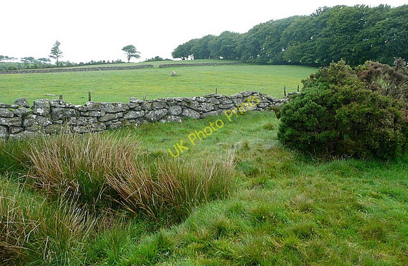 Photo 6"x4" Pasture near Postbridge Postbridge c2011