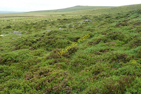 Photo 6"x4" Moorland above Braddon Lake Postbridge c2011