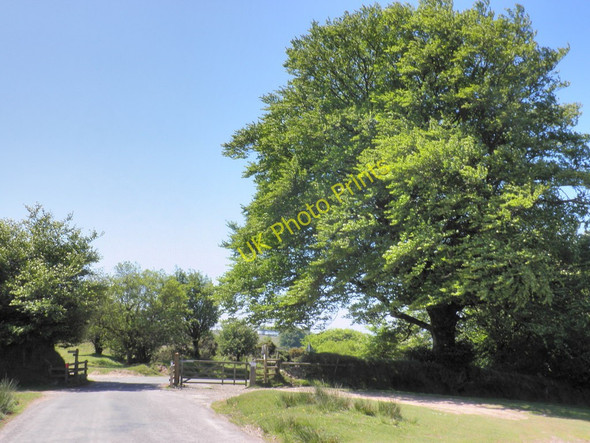 Photo 6"x4" Cattle grid, on the road to Liscombe Winsford\/SS9034 c2011