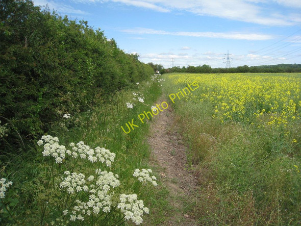 Photo 6"x4" Footpath to Coddington Coddington\/SK8354 c2011