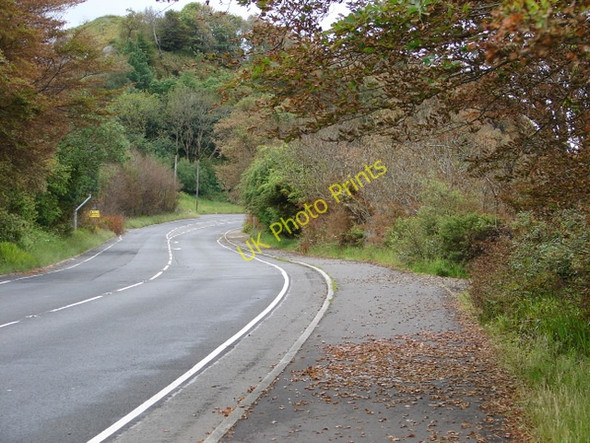 Photo 6"x4" Autumn colours on Cloch Road Levan c2011