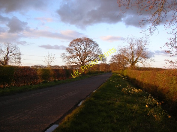 Photo 6"x4" Buttercrambe Road Stamford Bridge\/SE7155 c2008