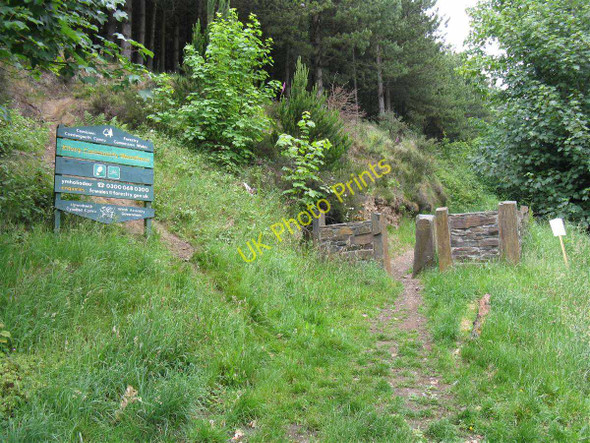 Photo 6"x4" Entrance to Kilvey Community Woodland from St. Thomas Port Tennant c2011