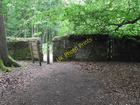 Photo 6"x4" Leaving the park Biddulph c2011