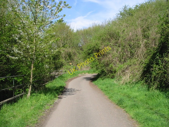 Photo 6"x4" View along Stour Valley walk Canterbury\/TR1457 c2008