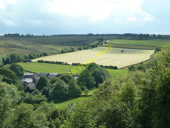Photo 6"x4" View to field above Harewood Grange Upper Loads c2011