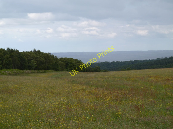 Photo 6"x4" Upland meadow on Cathole Hill Nether Loads c2011
