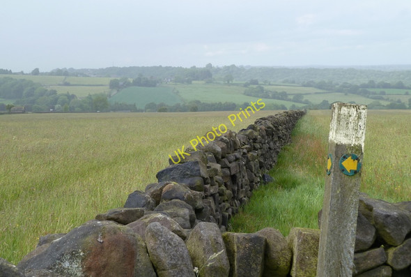 Photo 6"x4" Walled fields above Loads Road Nether Loads c2011