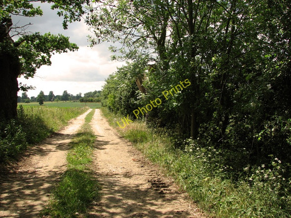 Photo 6"x4" Footpath south of Botany Lane, Little Glemham Statford St Andrew c2011