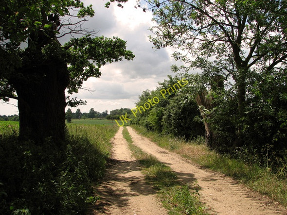 Photo 6"x4" From Botany Lane to the A12 road, Little Glemham Statford St Andrew c2011