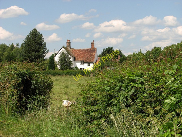 Photo 6"x4" White House Farm, Sweffling Rendham c2011