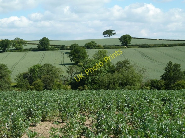 Photo 6"x4" Valley fields south of Deep Lane Hardstoft c2011