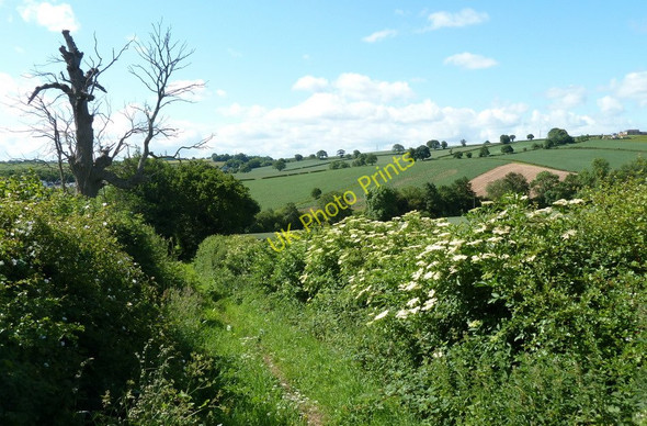 Photo 6"x4" Path south of Deep Lane Hardstoft c2011