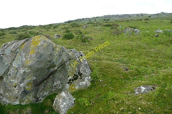 Photo 6"x4" On Cox Tor Merrivale\/SX5475 c2011