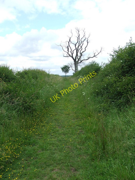 Photo 6"x4" Buntry Lane Barnardiston c2011