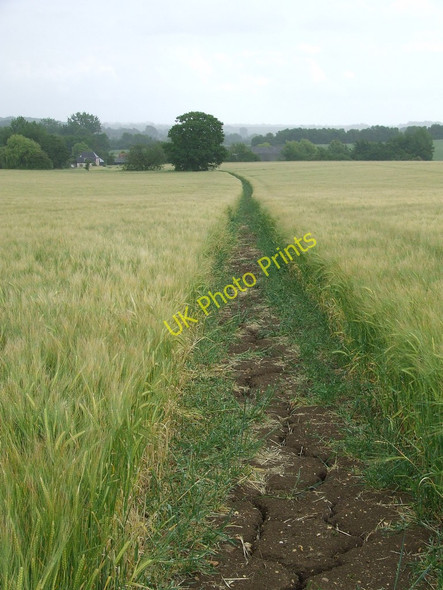 Photo 6"x4" Through The Barley Chimney Street c2011