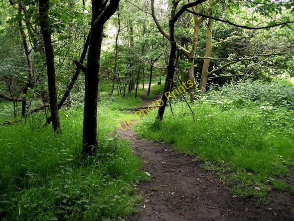 Photo 6"x4" Heading back Biddulph c2011