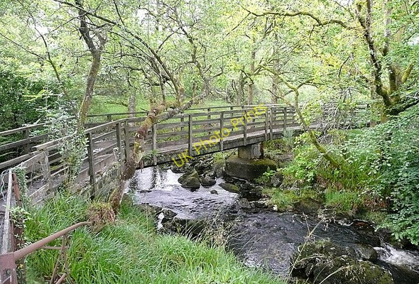Photo 6"x4" Footbridge over the River Tavy Horndon c2011