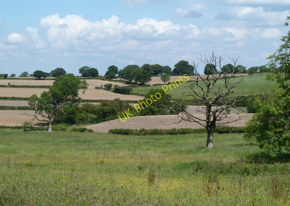 Photo 6"x4" Farmland, Hardstoft Common Hardstoft Common c2011