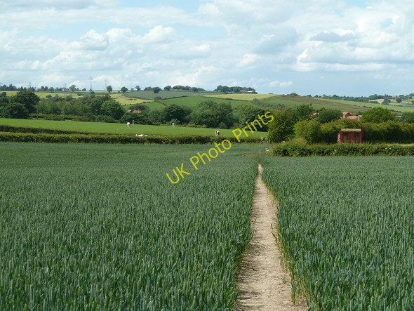 Photo 6"x4" Footpath between Dunsil Farm and Stanley Dunsill c2011