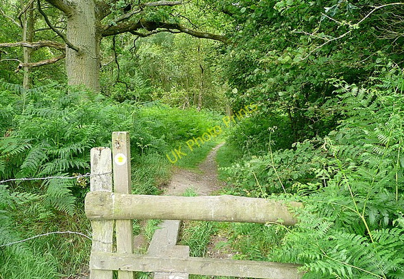 Photo 6"x4" Entrance to Lee Copse Court Corner c2011