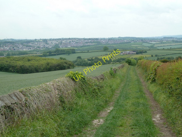 Photo 6"x4" Track south of Nether Handley Middle Handley c2011
