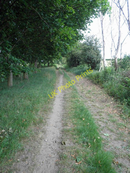 Photo 6"x4" Green Lane Serlby c2011