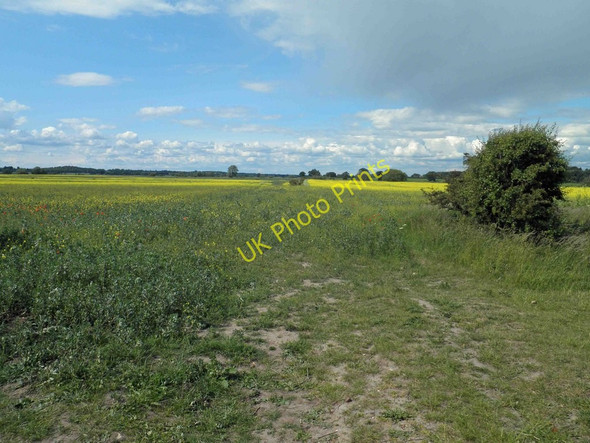 Photo 6"x4" Farmland near Scrooby Mattersey Thorpe\/SK6790 c2011