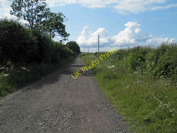 Photo 6"x4" Broomfield Lane a bridleway from Scrooby Mattersey Thorpe\/SK6790 c2011