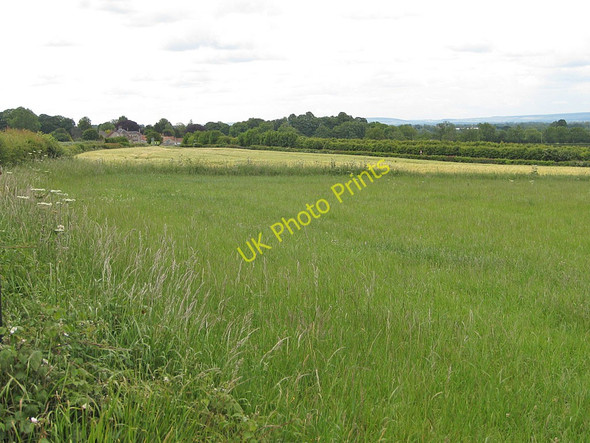 Photo 6"x4" View towards Aislaby from Wrelton Wrelton c2011