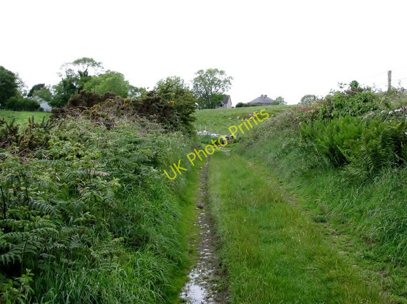 Photo 6"x4" Approaching the hamlet of Ballystokes along St Patrick's Way Saul\/J5046 c2011