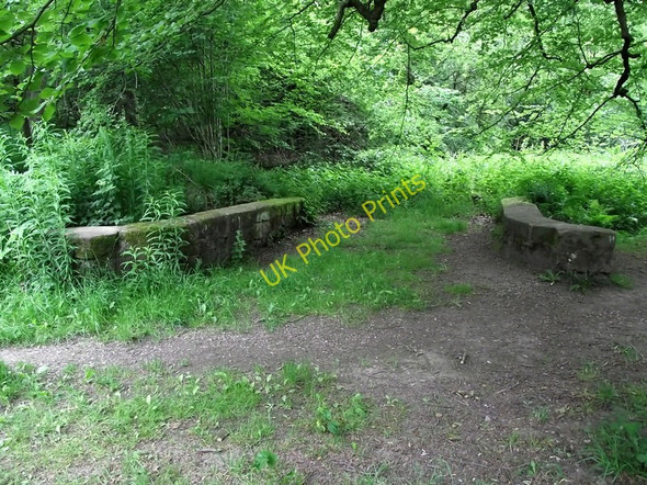 Photo 6"x4" Bridge to nowhere Biddulph c2011